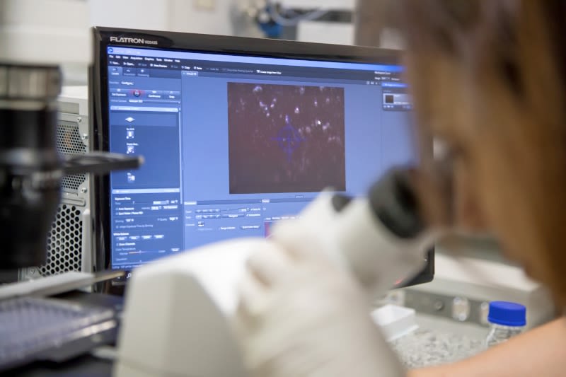 BenevolentAI, a leading clinical-stage artificial intelligence (AI) enabled drug discovery company, and Drugs for Neglected Disease initiative (DNDi), a not-for-profit research and development (R&D) organisation focusing on neglected diseases, today announced they have begun a joint research project to tackle dengue, one of the world’s most prevalent infectious diseases. 